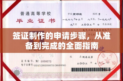 芒市签证制作的申请步骤，从准备到完成的全面指南
